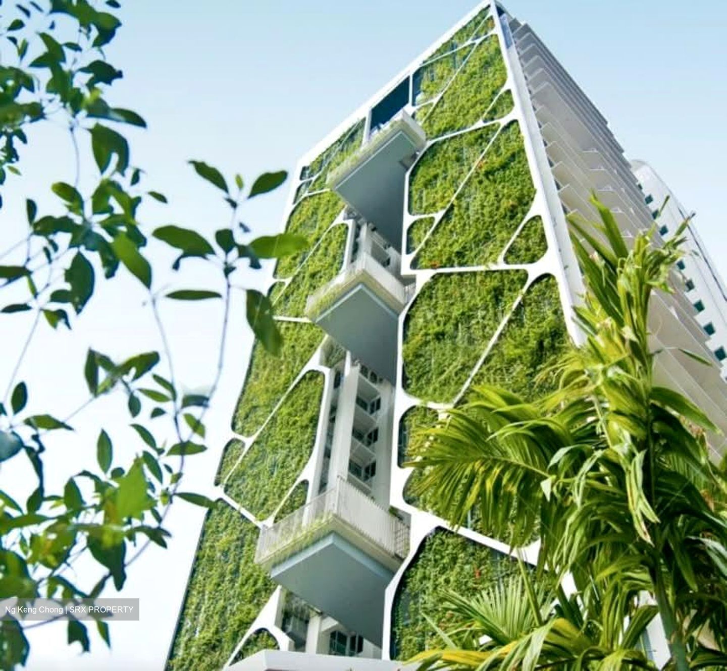 Tree House (D23), Condominium #562081121